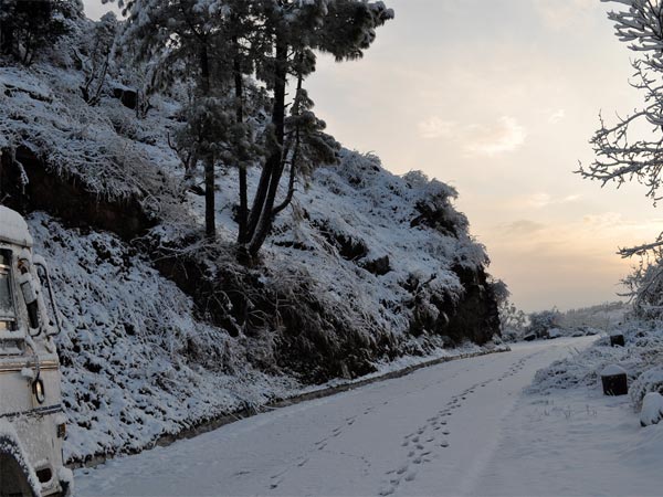 Things To Do At Shoghi