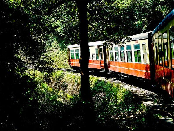 Toy Train To Kalka