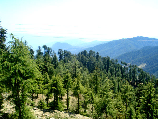 Trek To The Mahasu Peak