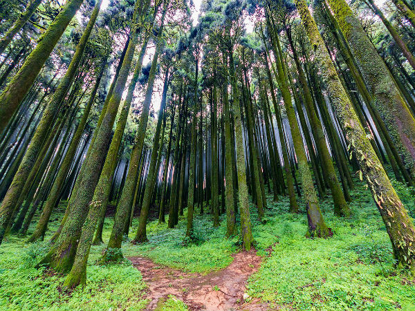 Darjeeling, West Bengal