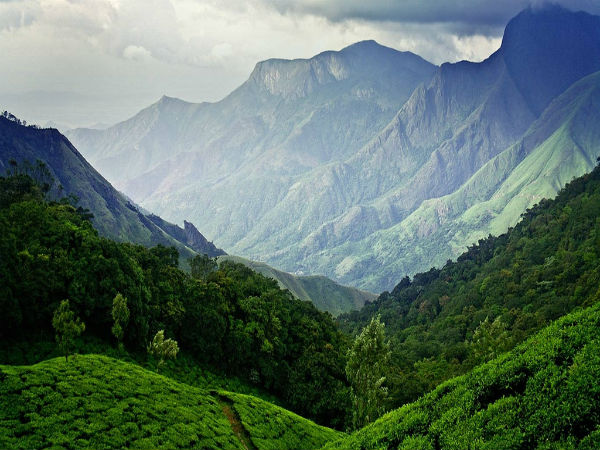 Munnar, Kerala
