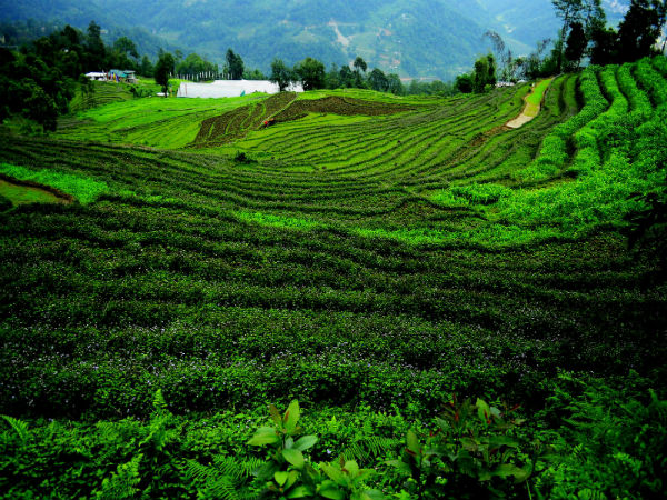 Gangtok, Sikkim