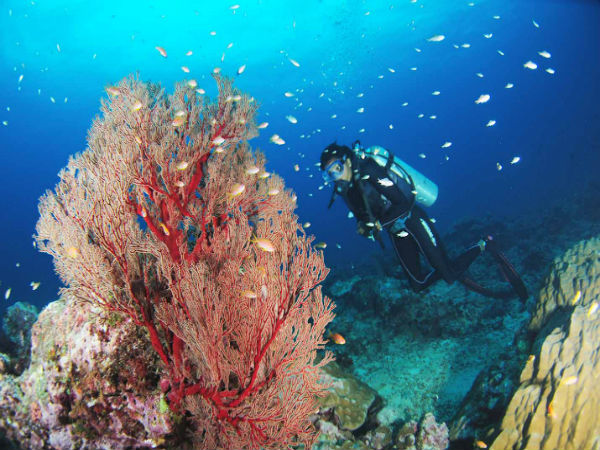 Havelock, Andaman