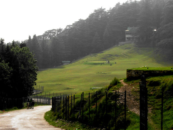 Best Time To Visit Naldehra