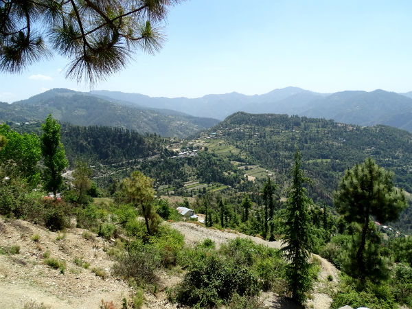 Things To Do At Naldehra