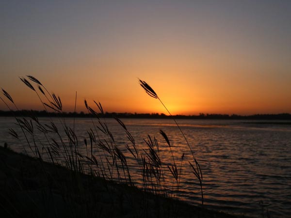 sur sarovar bird sanctuary sur sarovar bird sanctuary