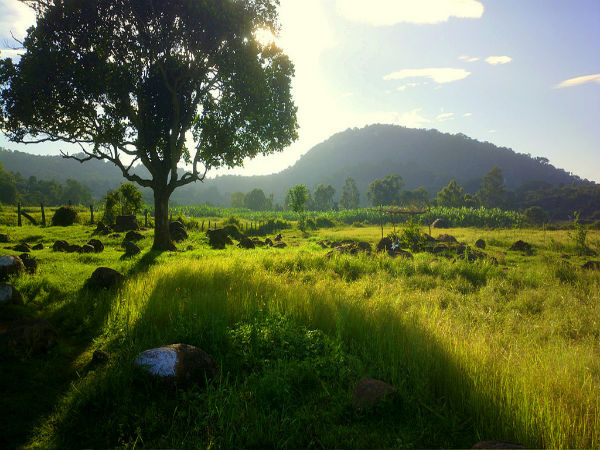 3. Yelagiri