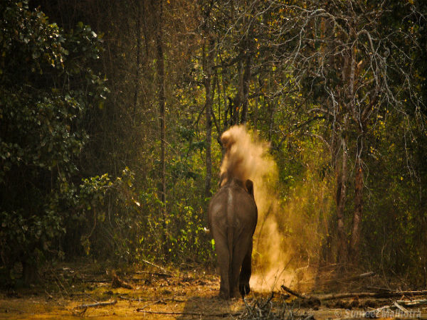 4. Kabini