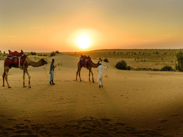 4. Go On A Camel Safari