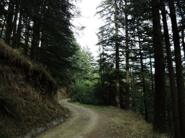 Destination: Mandi