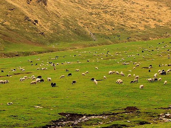 Pabbar Valley