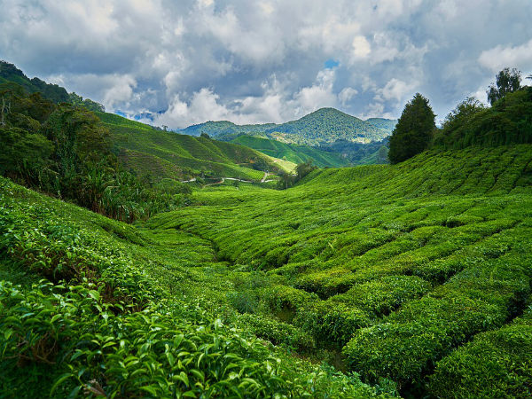 Darjeeling