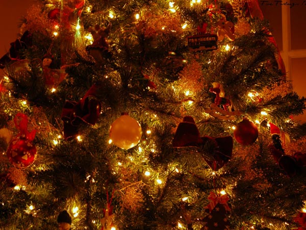 Christmas