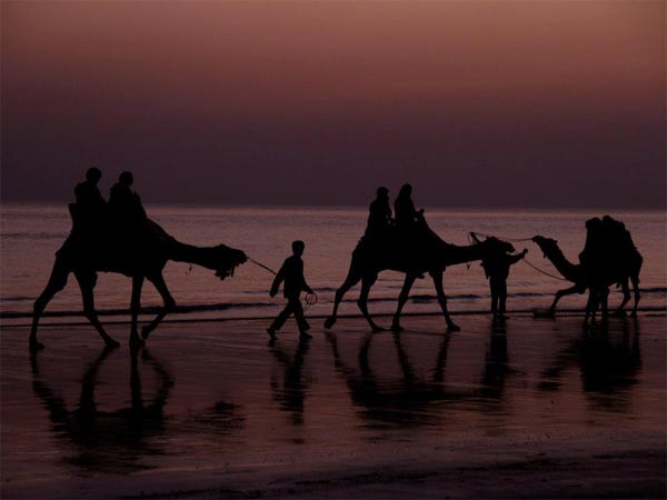 Rann Utsav, Gujarat