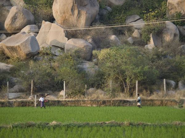 4. Go For A Nature Walk
