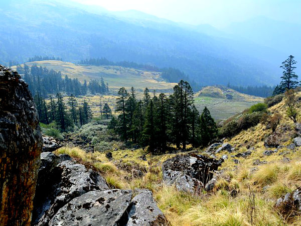 Nanda Devi National Park, Uttarakhand