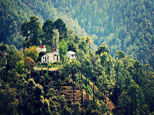 Binsar