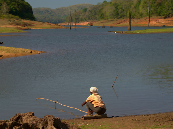 Munnar, Kerala