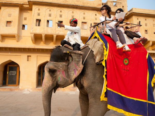 Elephant Ride At Amer Fort