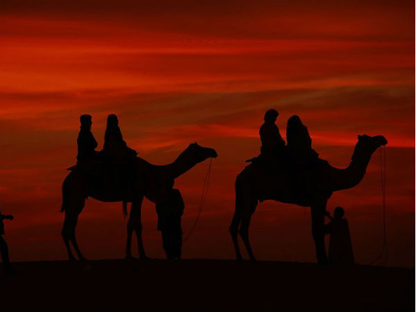 Go For A Camel Ride