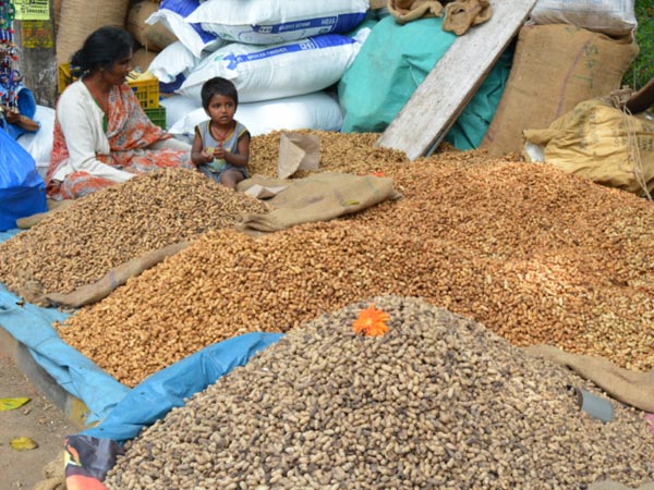 KadalekaiParisheOr The Groundnut Fair
