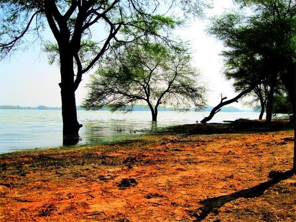 Thol Lake