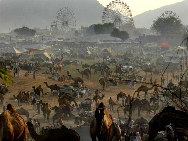 Be A Part Of Sonepur Mela At Bihar