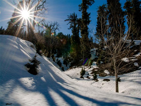 Manali