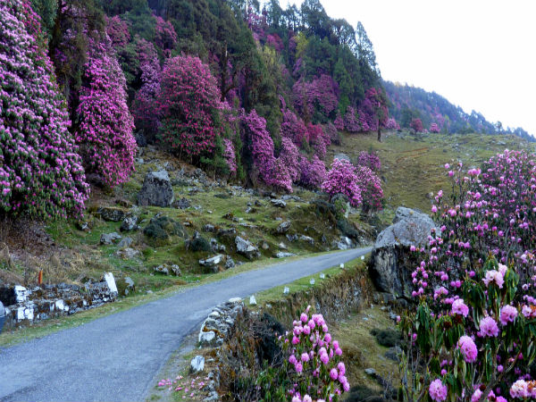 Udaknal To Dhanderas Thatch (Lower Water Fall Camp)