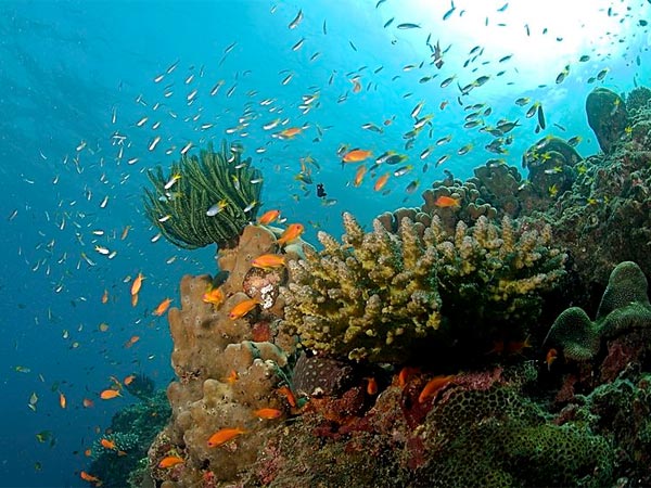 Relax On The Andaman & Nicobar Islands