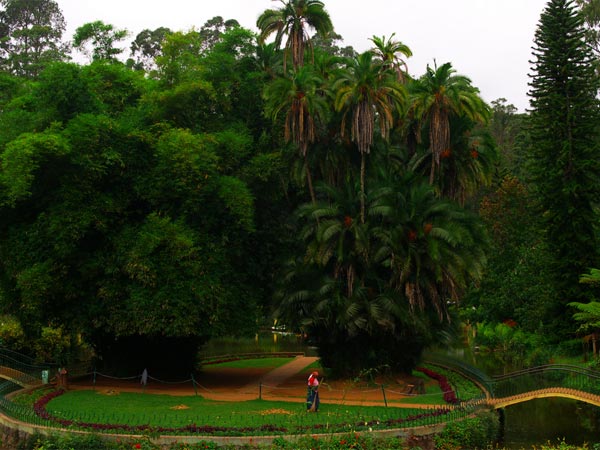 Unwind At Coonoor