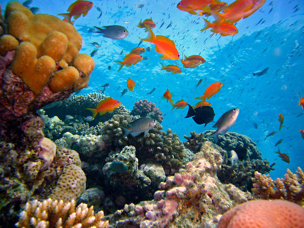 Andamans