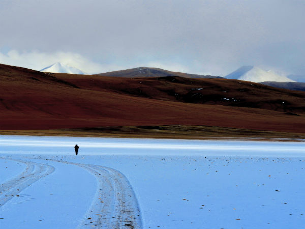 Changthang