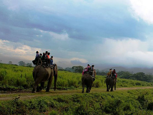 Kaziranga National Park