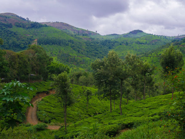 Nilgiris Biosphere Reserve