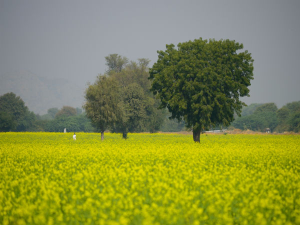 5. Make Yourself Comfortable At A Farm Stay