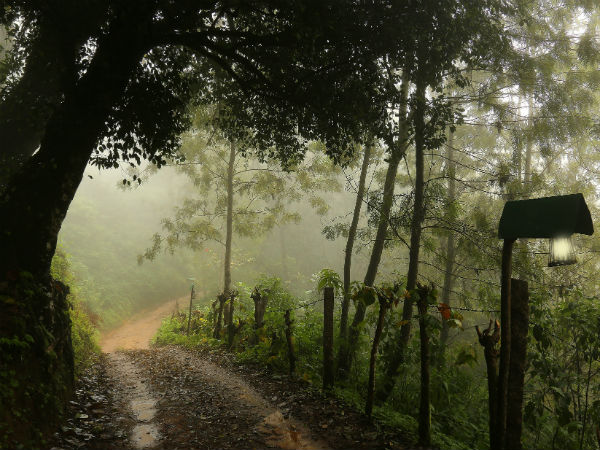 Munnar
