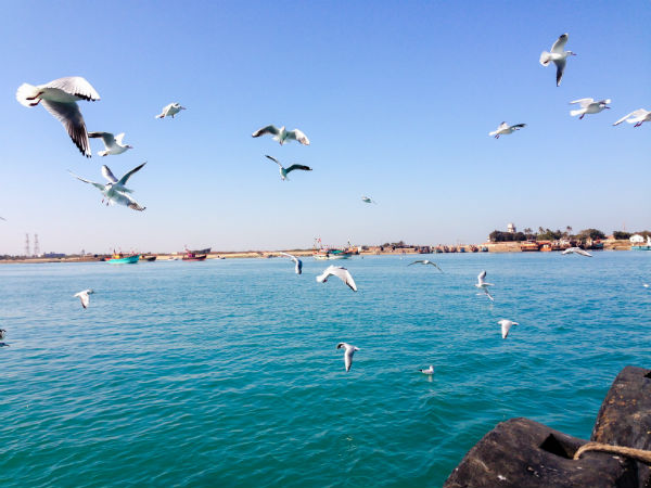 Bet Dwarka Island, Gujarat