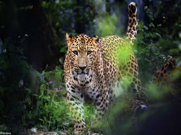 Pobitora Wildlife Sanctuary