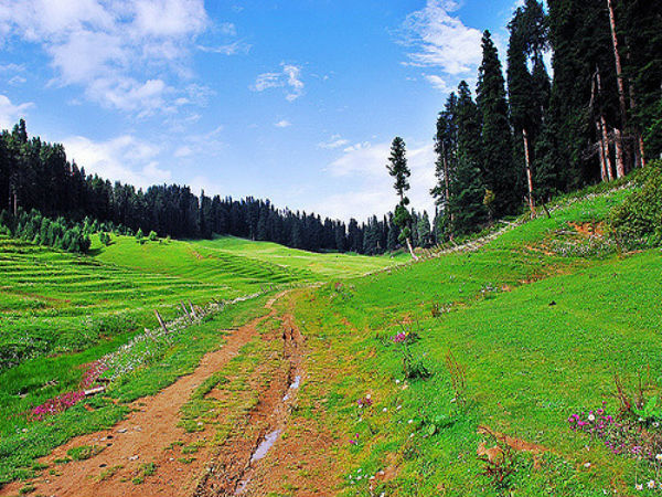 Relish The Strawberries At The Strawberry Valley