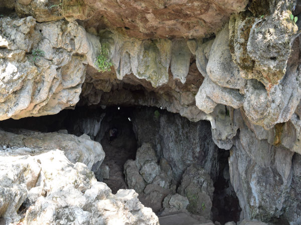 5. The Caves
