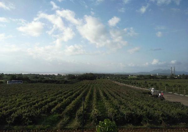 Nashik