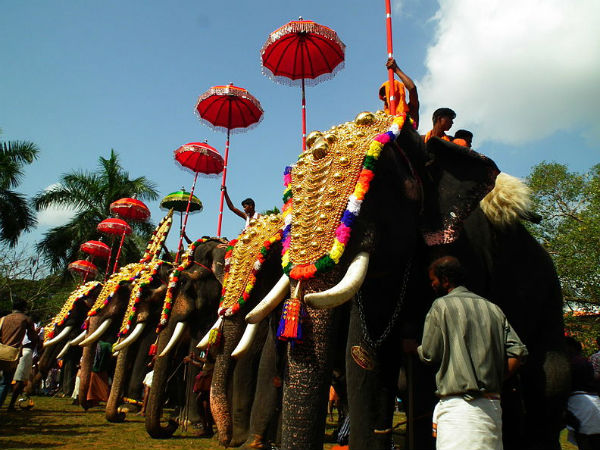 Thrissur Pooram