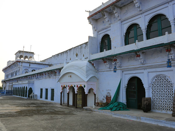 Rewa Rewa