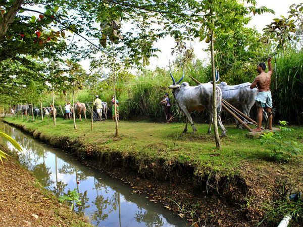 Utsav Rock Garden, Haveri