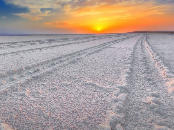 Head To The Great Rann Of Kutch