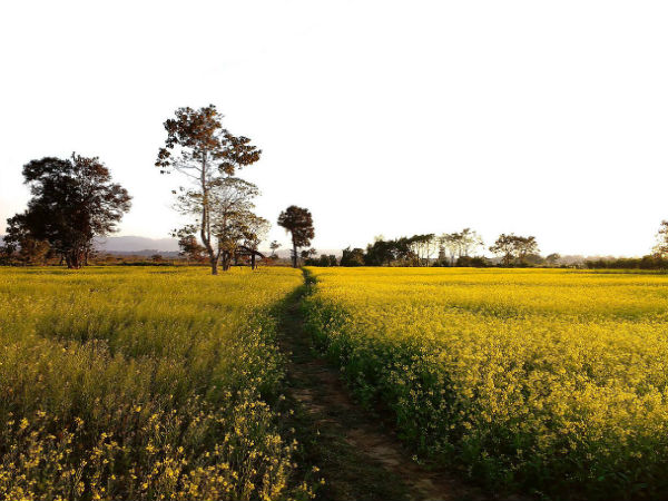 Nameri National Park