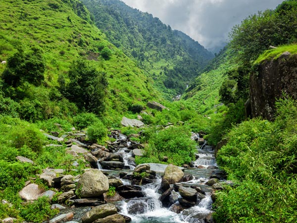 29. Shoghi