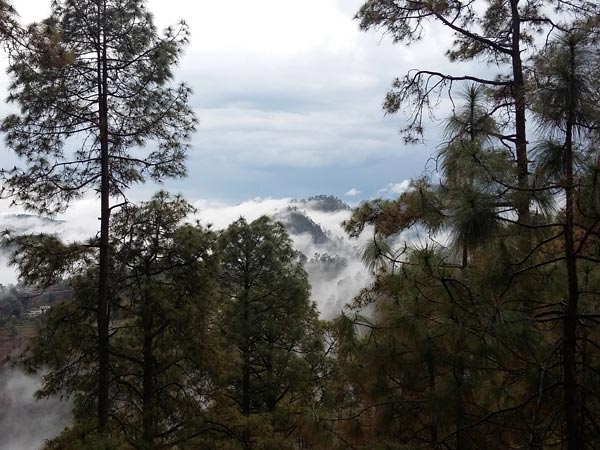 30. Chail
