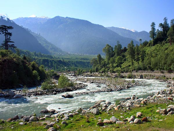 43. Mandi